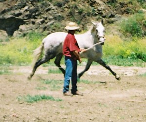 Horse training on the dry river bed, Almachar