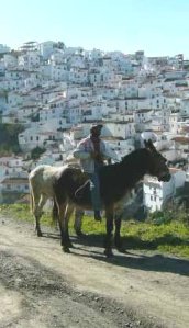 Worker on Donkey Almachar