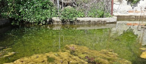 The lower water deposit spring 2014
