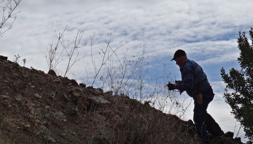 Good silhouette reduced