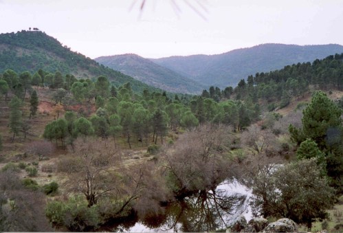 Home of the Lynx, almost extinct, and its prey the rabbit, now on the "vulnerable" list