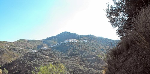 There are no police in Cutar, it's a long long way from the law