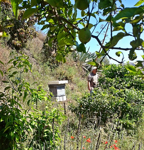 Me and my beehive in the 